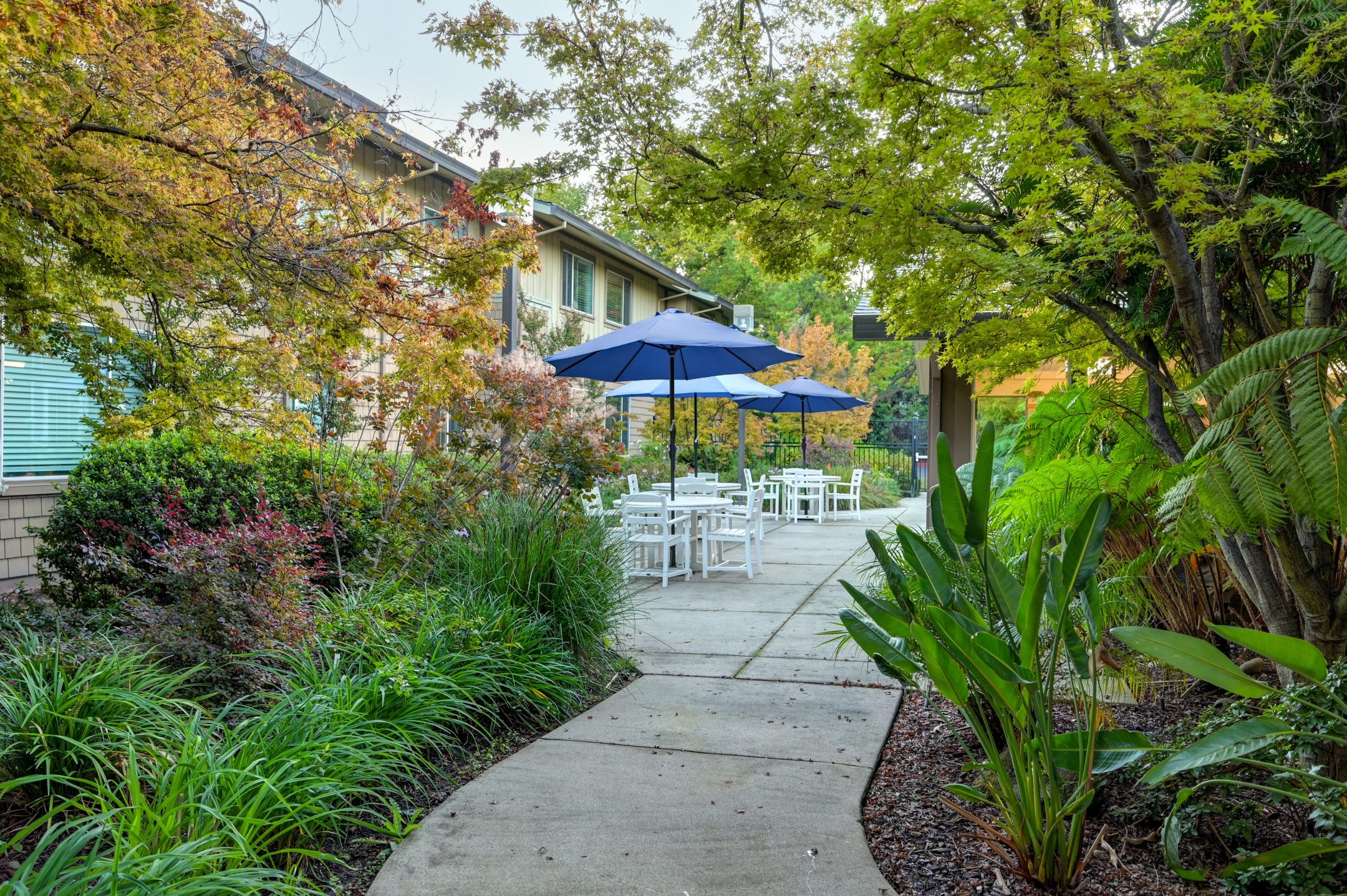 A curved pathway leads to outdoor tables and chairs with blue umbrellas, surrounded by lush green plants and trees—a perfect setting to enjoy the Eskaton Gold River lifestyle with a scenic building in the background.