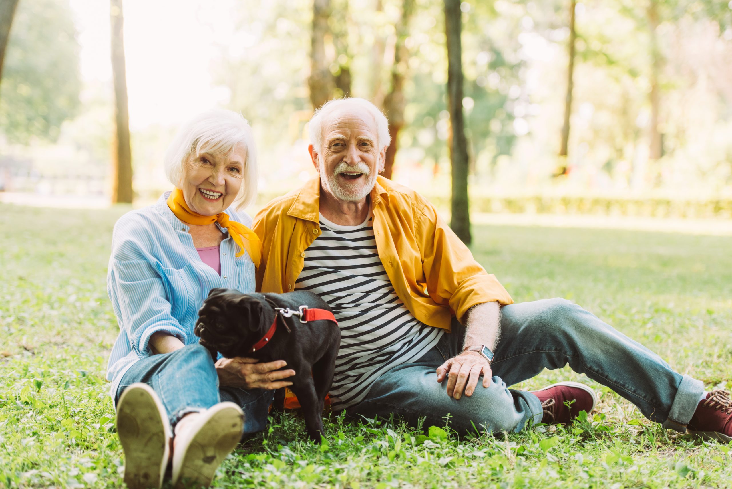 An elderly couple sits on the grass in a park, smiling and relaxing together. The woman holds a small black dog on her lap as they enjoy the peaceful scenery—like their own private open house amidst trees and greenery.