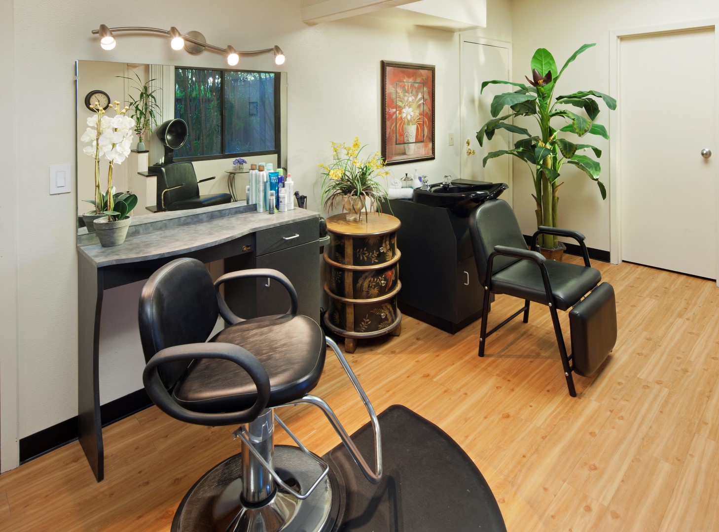 A modern hair salon with a black styling chair, a countertop with hair products and a mirror, a sink for washing hair, a potted plant, and wooden floors. The room is neat and well-lit with wall art and decor.