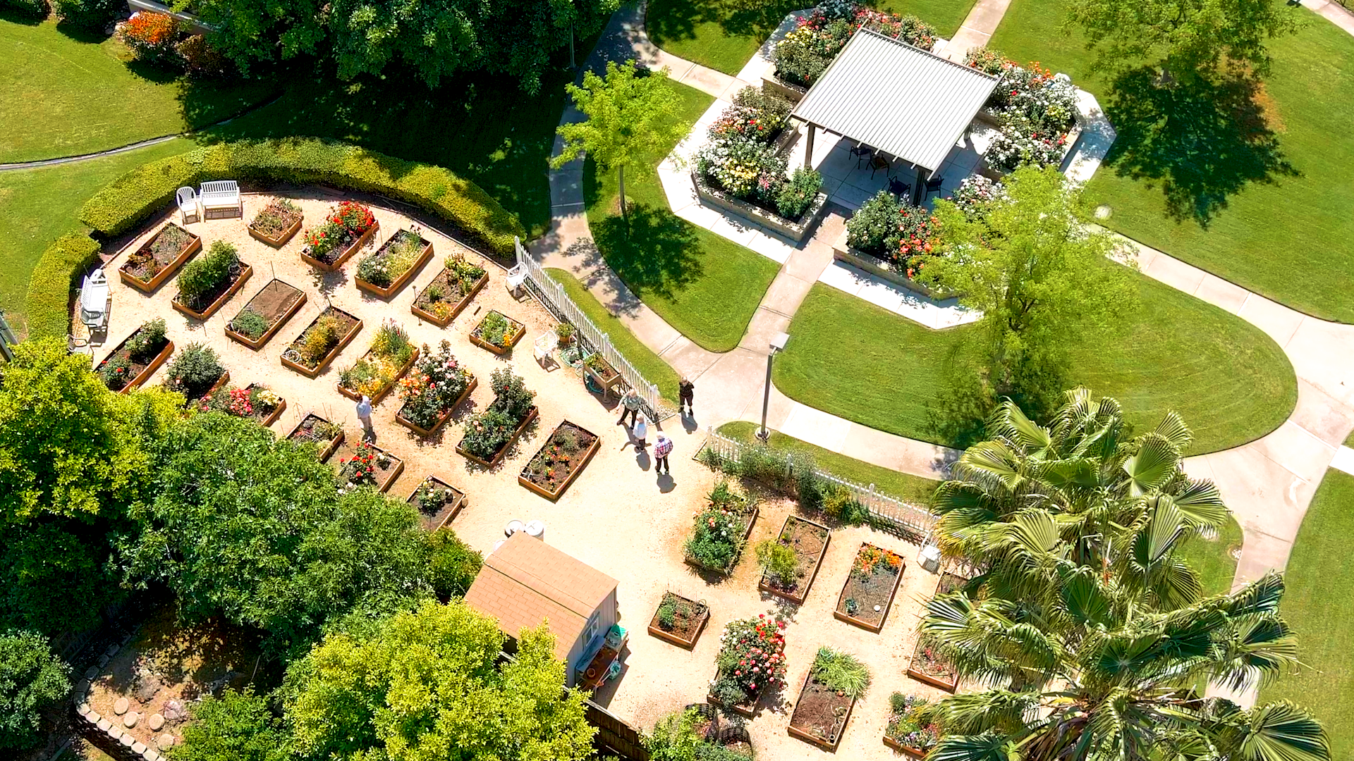 Aerial view of a garden with raised flower beds, people walking on gravel paths, lush green lawns, a shaded pavilion with seating, and surrounding trees on a sunny day.