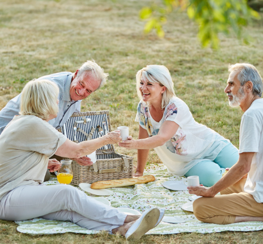 Four older adults having a picnic outdoors, sitting on a blanket with food and drinks around them, smiling and raising cups together in a cheerful, relaxed atmosphere.