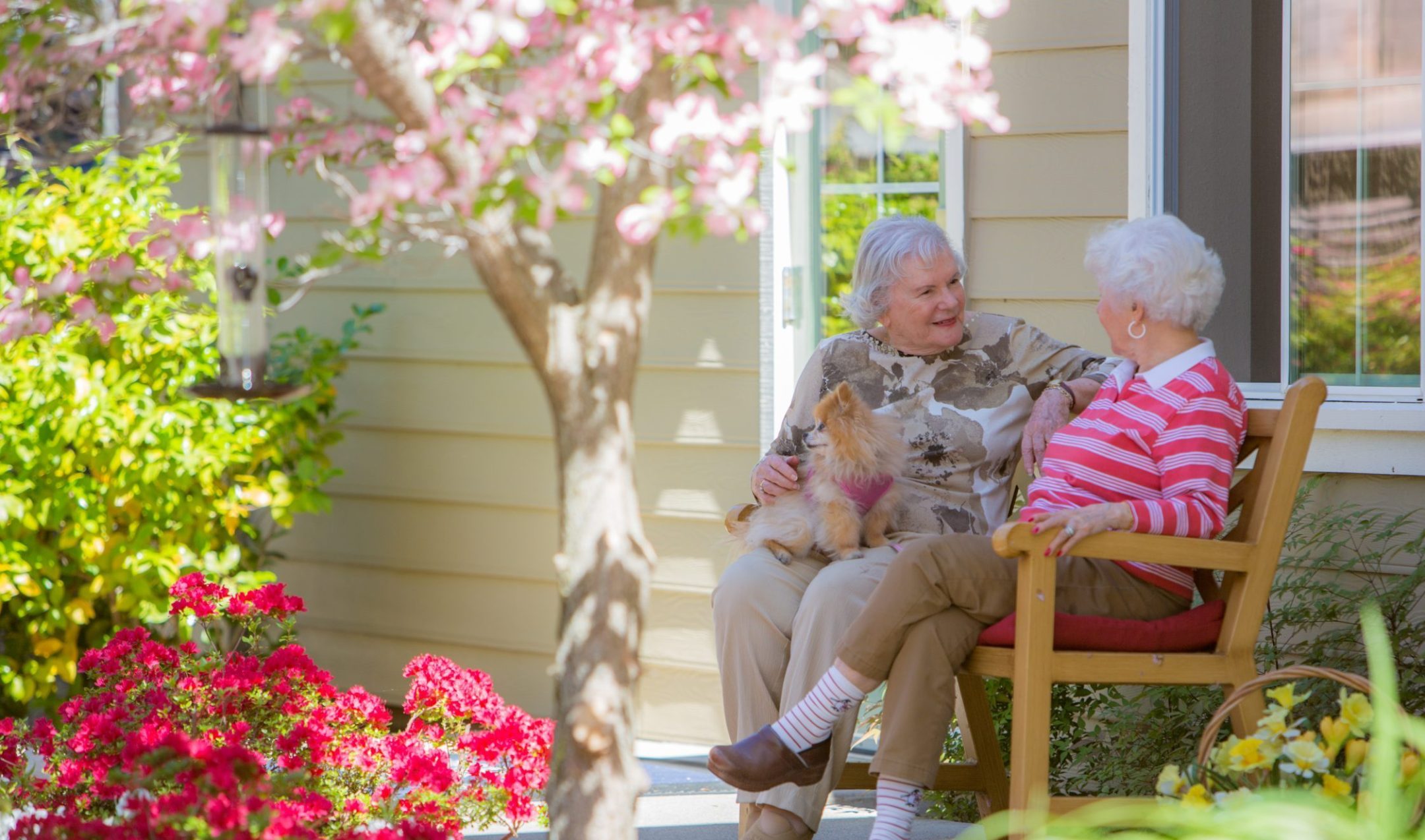 Two elderly women sit on a wooden bench outside a house, surrounded by colorful flowers and greenery. One woman holds a small dog, and both are smiling and engaged in conversation on a sunny day.