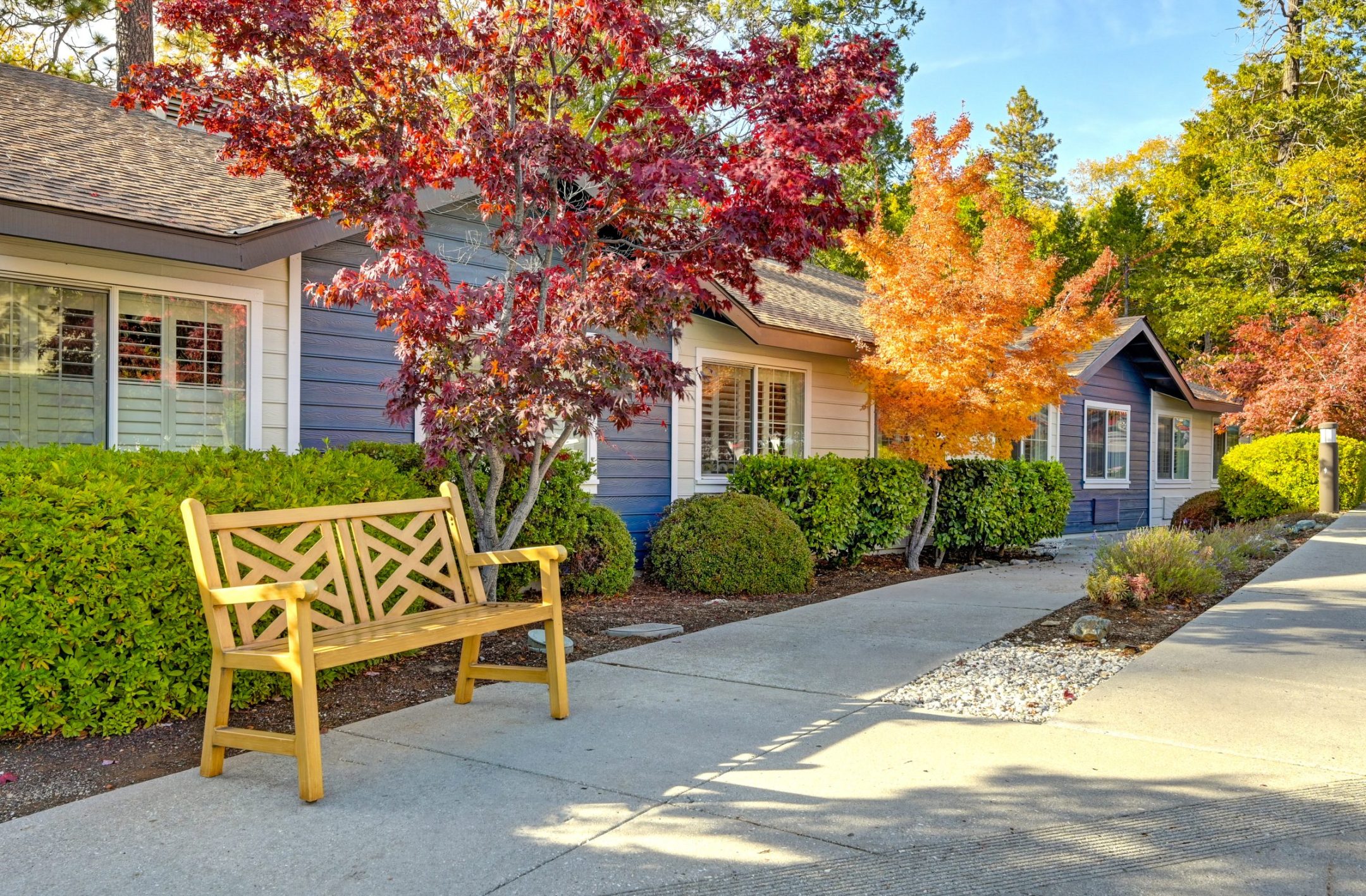 A wooden bench sits on a wide sidewalk in front of a blue house with white trim—ideal for short-term stays—surrounded by green bushes and vibrant red and orange trees under a clear blue sky.