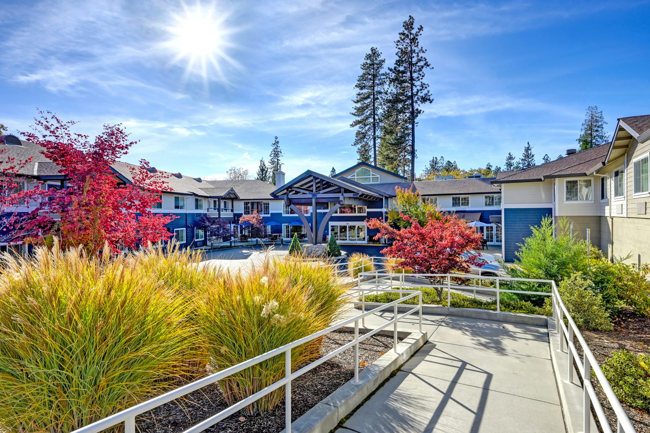 A sunny day at a residential complex with blue buildings, colorful autumn trees, and landscaped gardens. A concrete pathway with a metal railing leads toward the main entrance—download a brochure to learn more about this vibrant community.