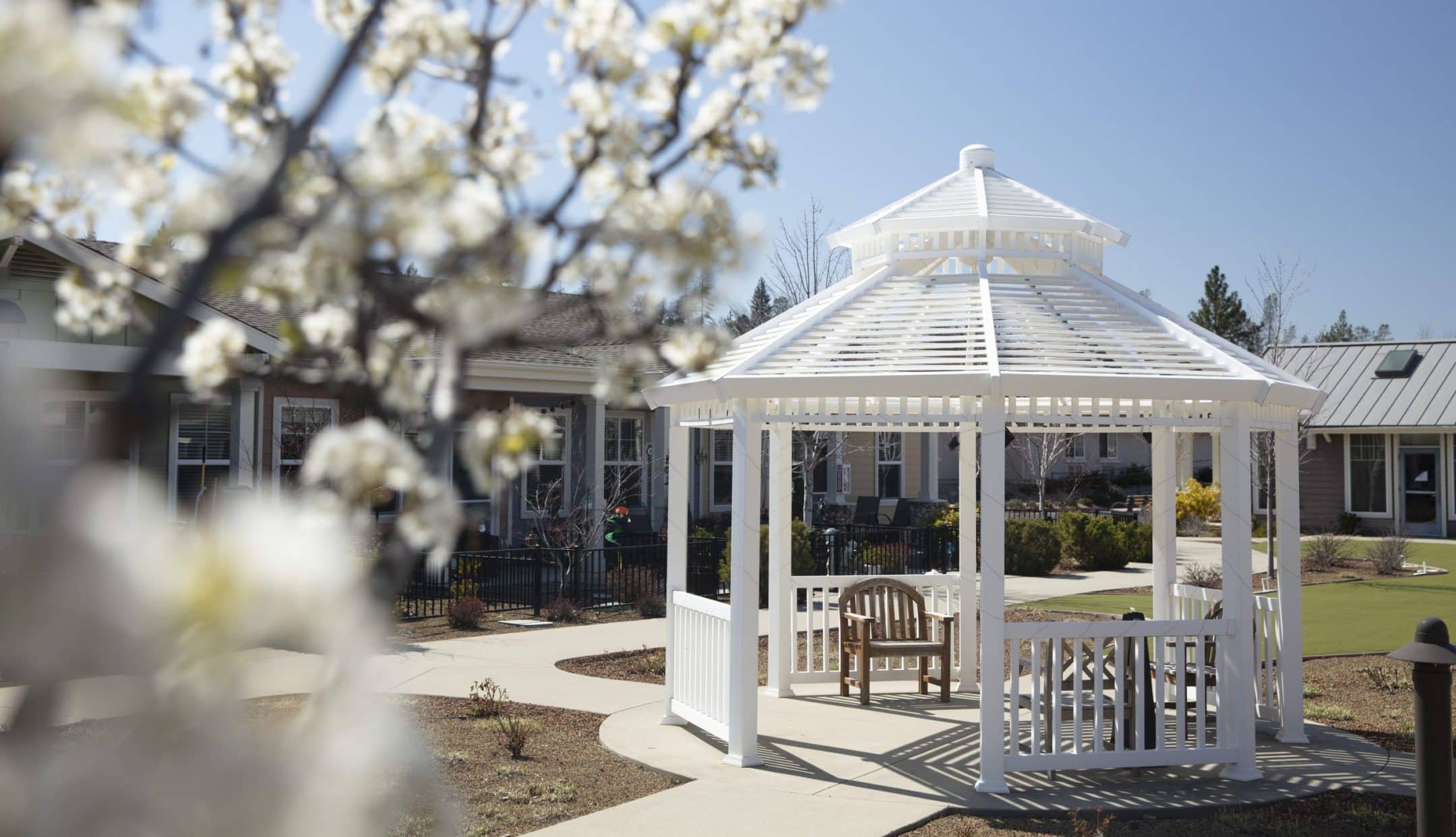 A white gazebo with benches stands in a sunny courtyard near a building, offering relaxing living options. In the foreground, branches of a blooming tree are blurred, suggesting springtime beneath the clear blue sky.