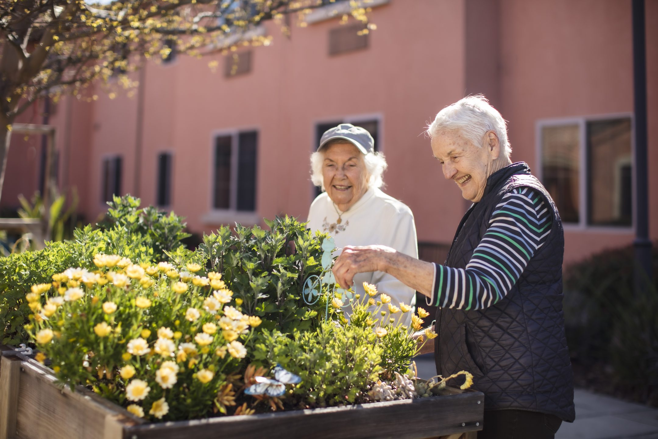 Two elderly women smile while gardening together outdoors, tending to yellow flowers and green plants in a raised wooden planter on a sunny day. A pink building with windows is visible in the background.