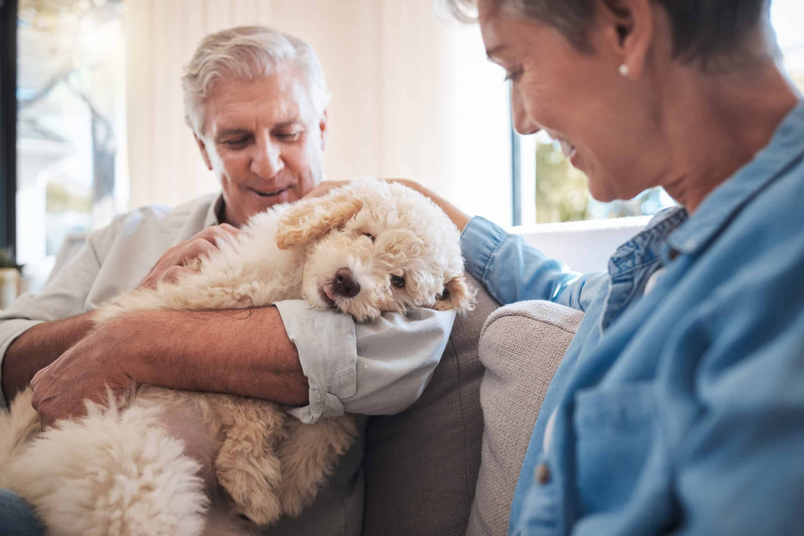 An older man and woman sit on a couch, smiling and cuddling a fluffy, light-colored dog that rests comfortably in the mans arms. The atmosphere is warm and relaxed.