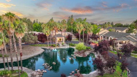 Aerial view of a landscaped pond with rocks, fountains, and palm trees surrounded by residential buildings and lush greenery at sunset.