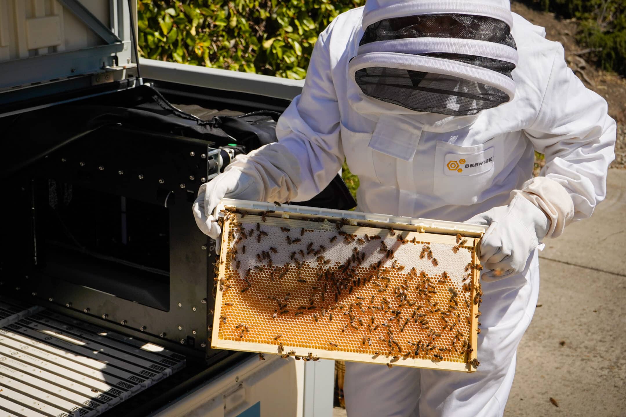 A person in a white beekeeping suit and gloves holds a bee-covered frame, removed from a hive near greenery and pavement, as Senior Communities Make History as Nation's First to Install AI-Powered Beehive.