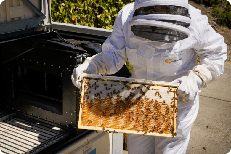 A person in a white beekeeping suit and gloves holds a frame from a beehive covered with bees, next to an open hive box outdoors at Eskaton.