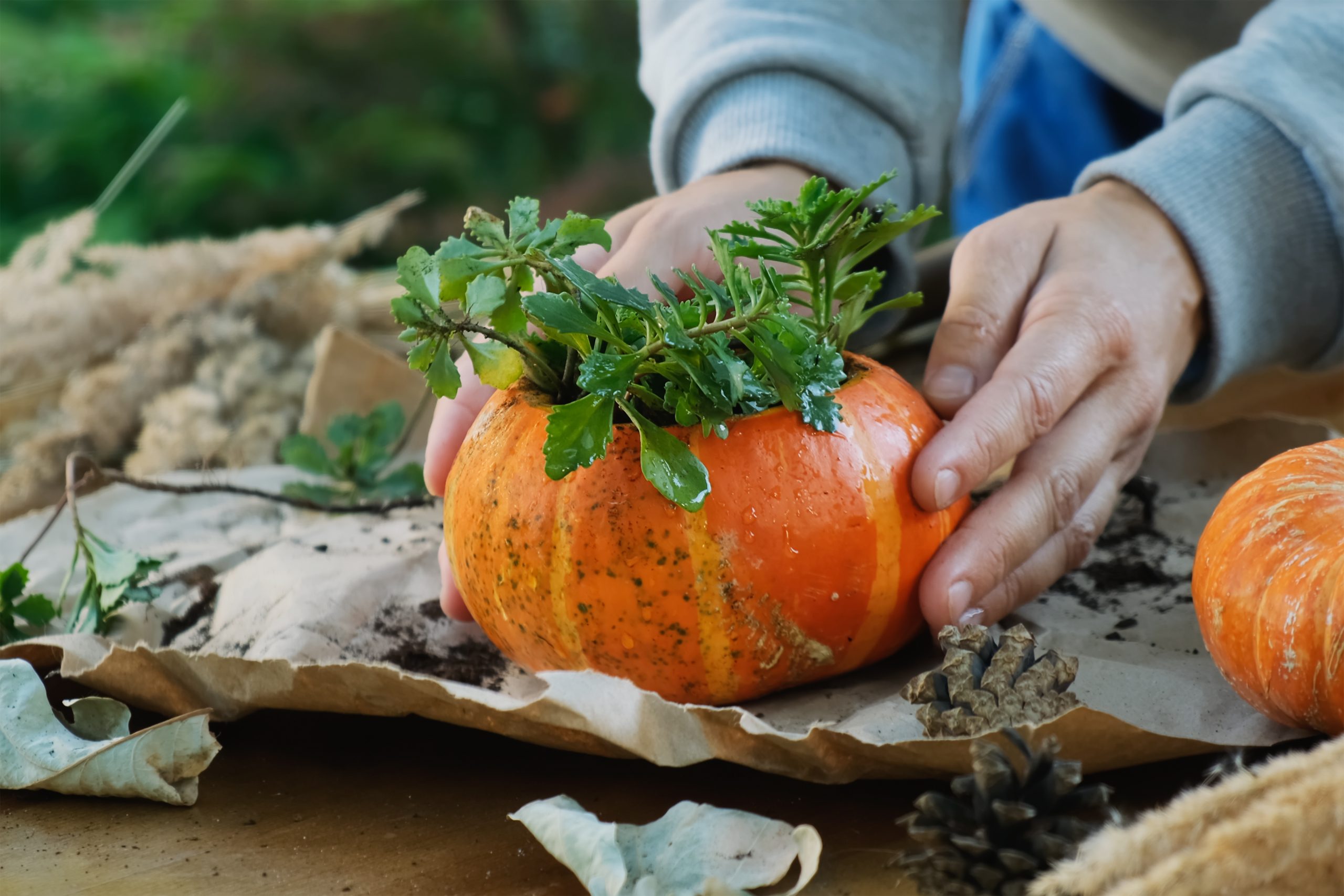 Succulent & Spice: <br>A Harvest Pumpkin Creations Event</br>